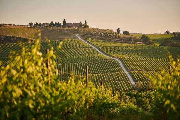 Où peut-on trouver une location de vacances en Toscane avec des cours de cuisine et des visites de vignobles?
