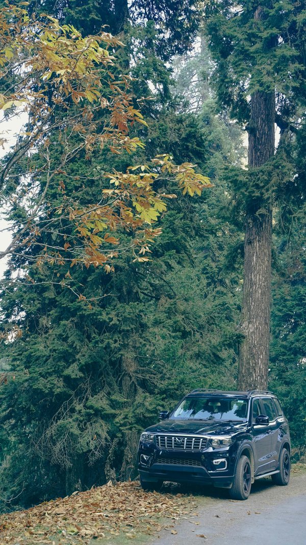 Voyager autrement à Strasbourg : le guide immersif des VTC